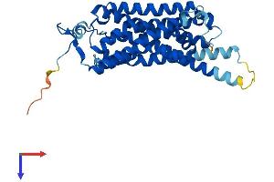 AlphaFold protein structure predicition of Mouse Recombinant Taar6 Protein, UniprotID Q5QD13
