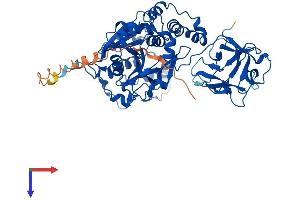 AlphaFold protein structure predicition of Mouse Recombinant Galnt12 Protein, UniprotID Q8BGT9
