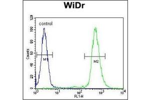 Flow Cytometric analysis of WiDr cells using RPS6 Antibody (Ser240/244) Cat.