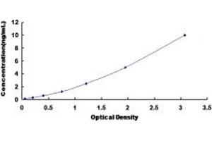 Typical standard curve (Serotonin Receptor 1A Kit ELISA)
