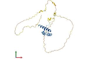 AlphaFold protein structure predicition of Mouse Recombinant Hoxb9 Protein, UniprotID P20615