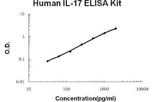 Human IL-17 Accusignal ELISA Kit Human IL-17 AccuSignal ELISA Kit standard curve. (IL-17 Kit ELISA)