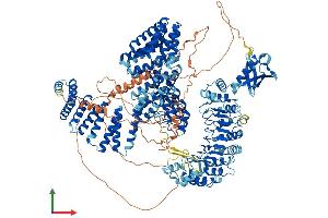 AlphaFold protein structure predicition of Mouse Recombinant Tonsl Protein, UniprotID Q6NZL6