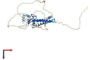 AlphaFold protein structure predicition of Human Recombinant TFAP2D Protein, UniprotID Q7Z6R9