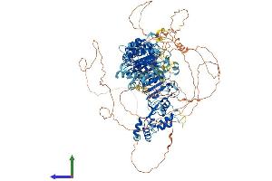 AlphaFold protein structure predicition of Human Recombinant FBXO38 Protein, UniprotID Q6PIJ6