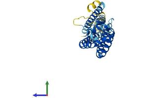AlphaFold protein structure predicition of Human Recombinant CD82 Protein, UniprotID P27701