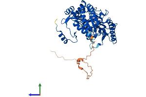 AlphaFold protein structure predicition of Mouse Recombinant Etnppl Protein, UniprotID Q8BWU8