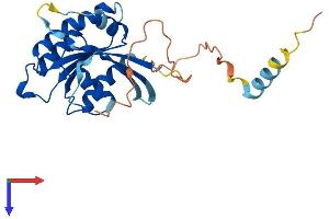 AlphaFold protein structure predicition of Mouse Recombinant Rasl11b Protein, UniprotID Q922H7