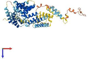 AlphaFold protein structure predicition of Human Recombinant IFIT3 Protein, UniprotID O14879