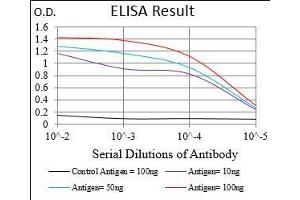 Black line: Control Antigen (100 ng), Purple line: Antigen(10 ng), Blue line: Antigen (50 ng), Red line: Antigen (100 ng), (ROR2 anticorps  (AA 59-155))