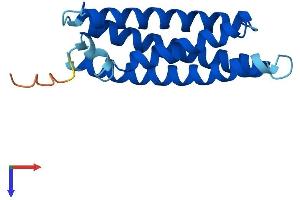 AlphaFold protein structure predicition of Mouse Recombinant Mal Protein, UniprotID O09198