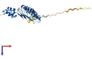 AlphaFold protein structure predicition of Mouse Recombinant Fbxl22 Protein, UniprotID Q8C7B6