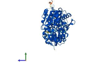AlphaFold protein structure predicition of Mouse Recombinant Ephx2 Protein, UniprotID P34914