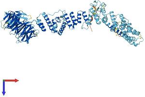 AlphaFold protein structure predicition of Mouse Recombinant Tgfbrap1 Protein, UniprotID Q3UR70
