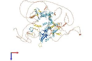 AlphaFold protein structure predicition of Mouse Recombinant Prdm10 Protein, UniprotID Q3UTQ7
