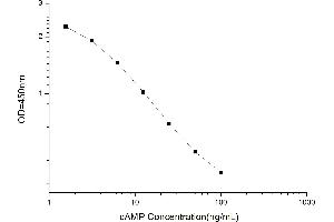 Typical standard curve (CAMP Kit ELISA)
