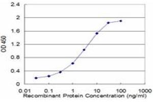 anti-ATPase, H+/K+ Exchanging, beta Polypeptide (ATP4b) (AA 67-176) antibody
