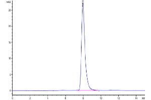 The purity of Cynomolgus EPHA2 is greater than 95 % as determined by SEC-HPLC.