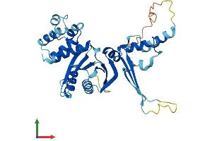 AlphaFold protein structure predicition of Mouse Recombinant Cenpn Protein, UniprotID Q9CZW2
