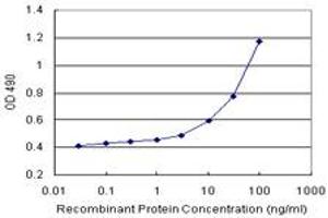 Sandwich ELISA detection sensitivity ranging from 3 ng/mL to 100 ng/mL. (OXSR1 (Humain) Matched Antibody Pair)
