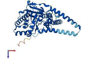 AlphaFold protein structure predicition of Human Recombinant AGPAT4 Protein, UniprotID Q9NRZ5