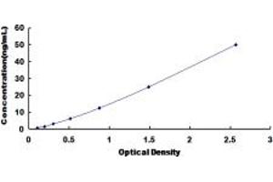 Typical standard curve (DNAJC4 Kit ELISA)