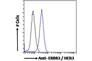 ABIN185461 Flow cytometric analysis of paraformaldehyde fixed MCF7 cells (blue line), permeabilized with 0. (ERBB3 anticorps  (C-Term))
