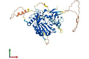 AlphaFold protein structure predicition of Human Recombinant METTL4 Protein, UniprotID Q8N3J2