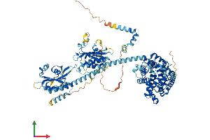 AlphaFold protein structure predicition of Human Recombinant PDE5A Protein, UniprotID O76074