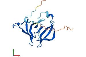 AlphaFold protein structure predicition of Human Recombinant FAM72C Protein, UniprotID H0Y354