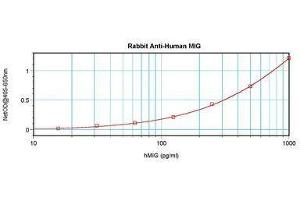 Image no. 3 for anti-gamma-Interferon-Induced Monokine (CXCL9) antibody (ABIN465878) (CXCL9 anticorps)