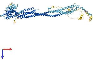 AlphaFold protein structure predicition of Human Recombinant MFN1 Protein, UniprotID Q8IWA4