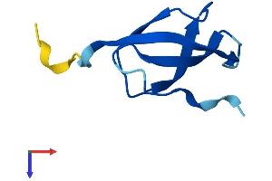 AlphaFold protein structure predicition of Human Recombinant RPS28 Protein, UniprotID P62857