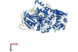 AlphaFold protein structure predicition of Mouse Recombinant Mtm1 Protein, UniprotID Q9Z2C5