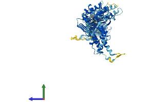 AlphaFold protein structure predicition of Mouse Recombinant Nsf Protein, UniprotID P46460