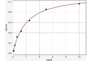 Typical standard curve