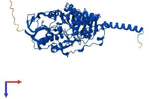 AlphaFold protein structure predicition of Human Recombinant MAOA Protein, UniprotID P21397