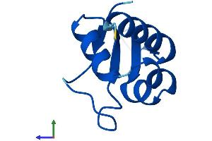 AlphaFold protein structure predicition of Mouse Recombinant Abracl Protein, UniprotID Q4KML4