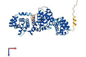 AlphaFold protein structure predicition of Human Recombinant ATP6V1H Protein, UniprotID Q9UI12