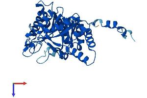 AlphaFold protein structure predicition of Human Recombinant ALAD Protein, UniprotID P13716