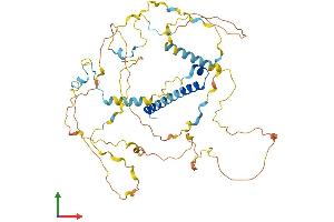 AlphaFold protein structure predicition of Human Recombinant PRCC Protein, UniprotID Q92733