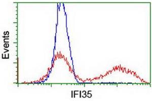 HEK293T cells transfected with either RC200929 overexpress plasmid (Red) or empty vector control plasmid (Blue) were immunostained by anti-IFI35 antibody (ABIN2454904), and then analyzed by flow cytometry. (IFI35 anticorps)