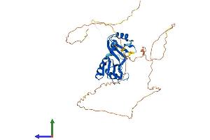 AlphaFold protein structure predicition of Human Recombinant RBMS2 Protein, UniprotID Q15434