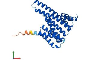 AlphaFold protein structure predicition of Mouse Recombinant Ywhaz Protein, UniprotID P63101