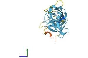 AlphaFold protein structure predicition of Human Recombinant EXOSC1 Protein, UniprotID Q9Y3B2