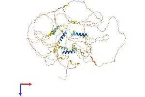 AlphaFold protein structure predicition of Mouse Recombinant Synpo Protein, UniprotID Q8CC35
