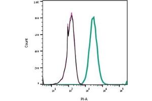 Direct flow cytometry of Stichodactyla Toxin in live intact rat  cells. (Stichodactyla Toxin peptide (Atto 590))
