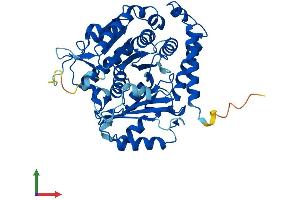 AlphaFold protein structure predicition of Mouse Recombinant Tuba1b Protein, UniprotID P05213