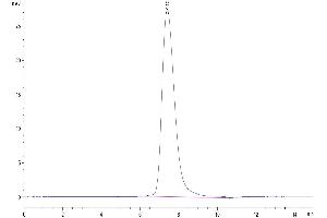 The purity of Human CD200 is greater than 95 % as determined by SEC-HPLC. (CD200 Protein (CD200) (AA 31-232) (His tag))