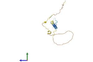 AlphaFold protein structure predicition of Mouse Recombinant Tnfrsf17 Protein, UniprotID O88472